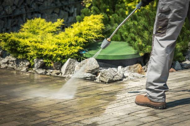 La Mesilla, NM Pressure Washing Services Company