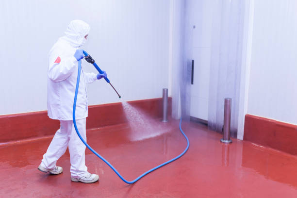 Best Deck and Patio Pressure Washing in La Mesilla, NM