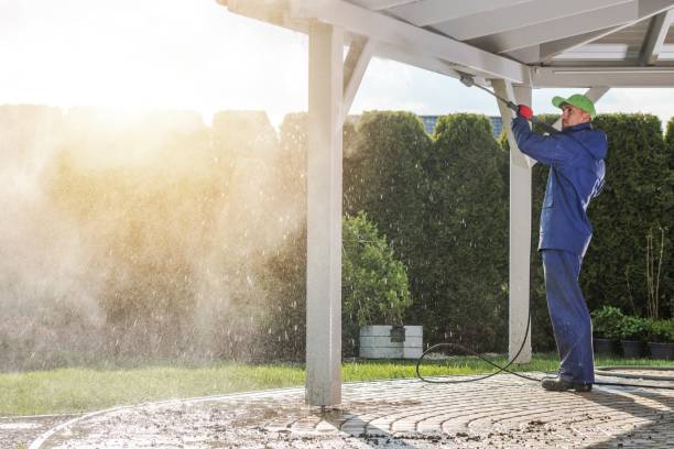 Best Concrete Surface Cleaning in La Mesilla, NM